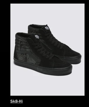 SK8-HI SHOE
