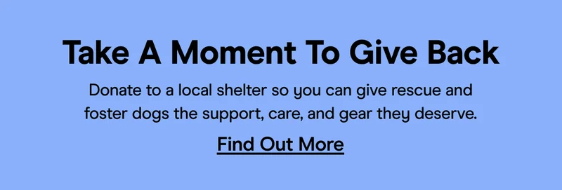 Give Back