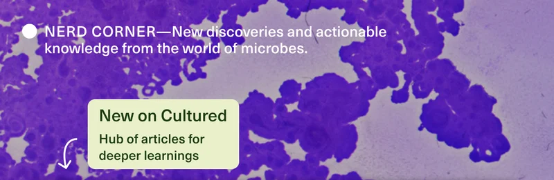 NERD CORNER—New discoveries and actionable knowledge from the world of microbes.