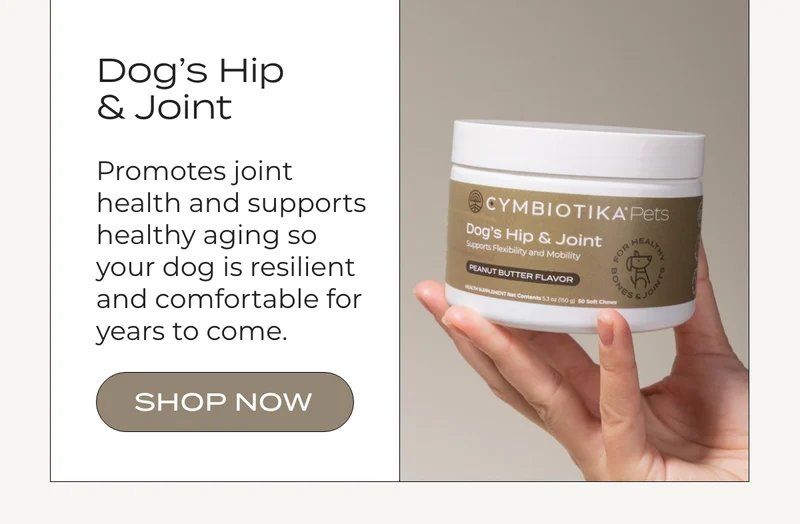 DOG'S HIP & JOINT