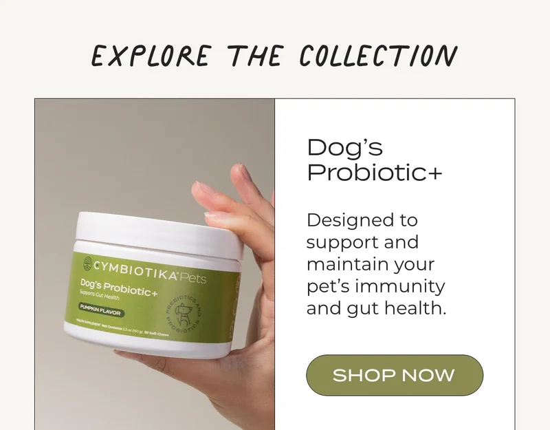 DOG'S PROBIOTIC+
