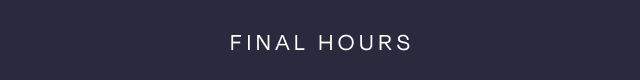 Final Hours - Image