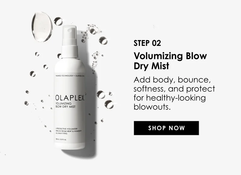 Volumizing Blow Dry Mist | Shop Now