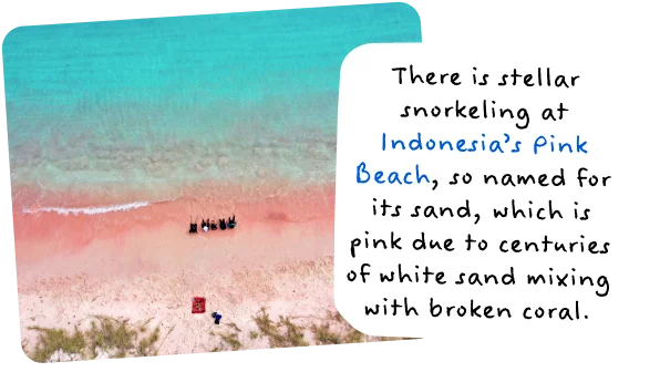There is stellar snorkeling at Indonesia’s Pink Beach, so named for its sand, which is pink due to centuries of white sand mixing with broken coral.