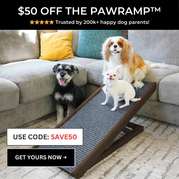 PawRamp
