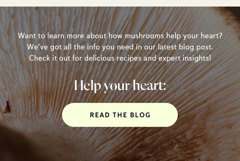 Want to learn more about how mushrooms help your heart? We’ve got all the info you need in our latest blog post. Check it out for delicious recipes and expert insights!