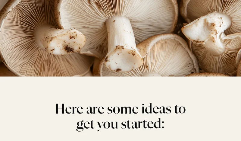 Here are some ideas to get you started: