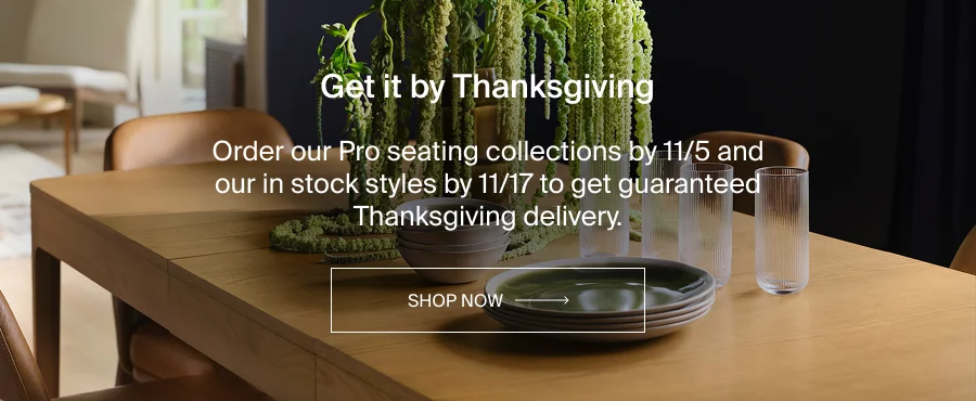 Get it by Thanksgiving. Shop Now.