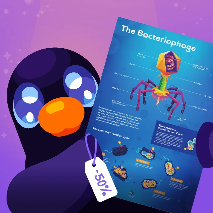 The Bacteriophage Infographic Poster