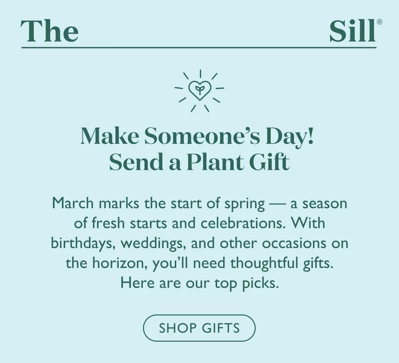 March marks the start of spring - a season of fresh starts and celebrations. With birthdays, weddings, and other occasions on the horizon, you'll need thoughtful gifts. Here are our top picks.