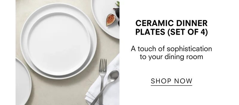 Ceramic Dinner Plates (Set of 4) - a touch of sophistication to your dining room