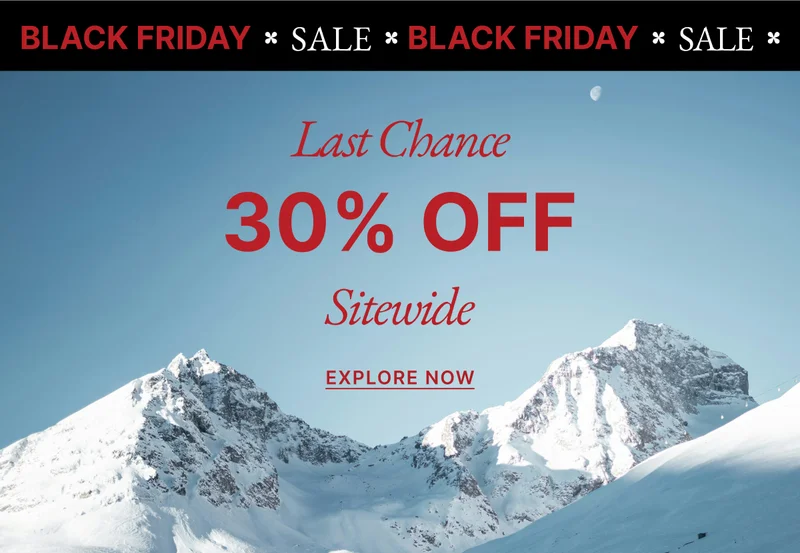 Black Friday Sale