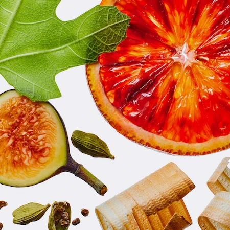 Fig