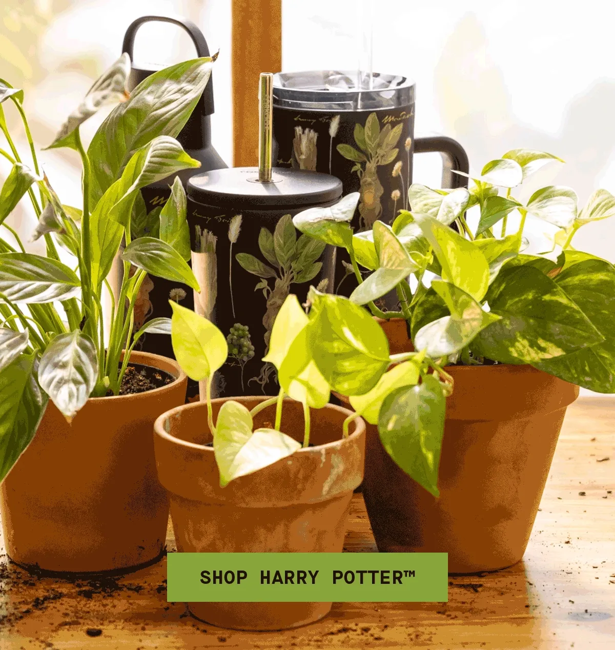 Shop Harry Potter™