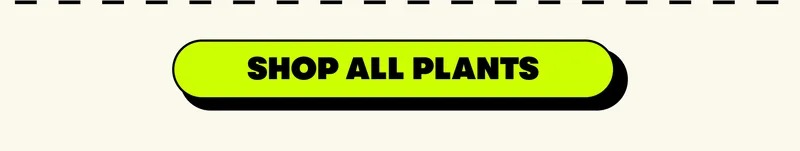 [SHOP ALL PLANTS]