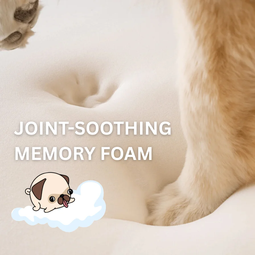 Memory Foam Memory Foam