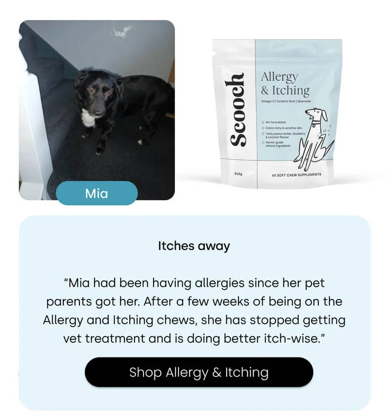 Shop Allergy & Itching