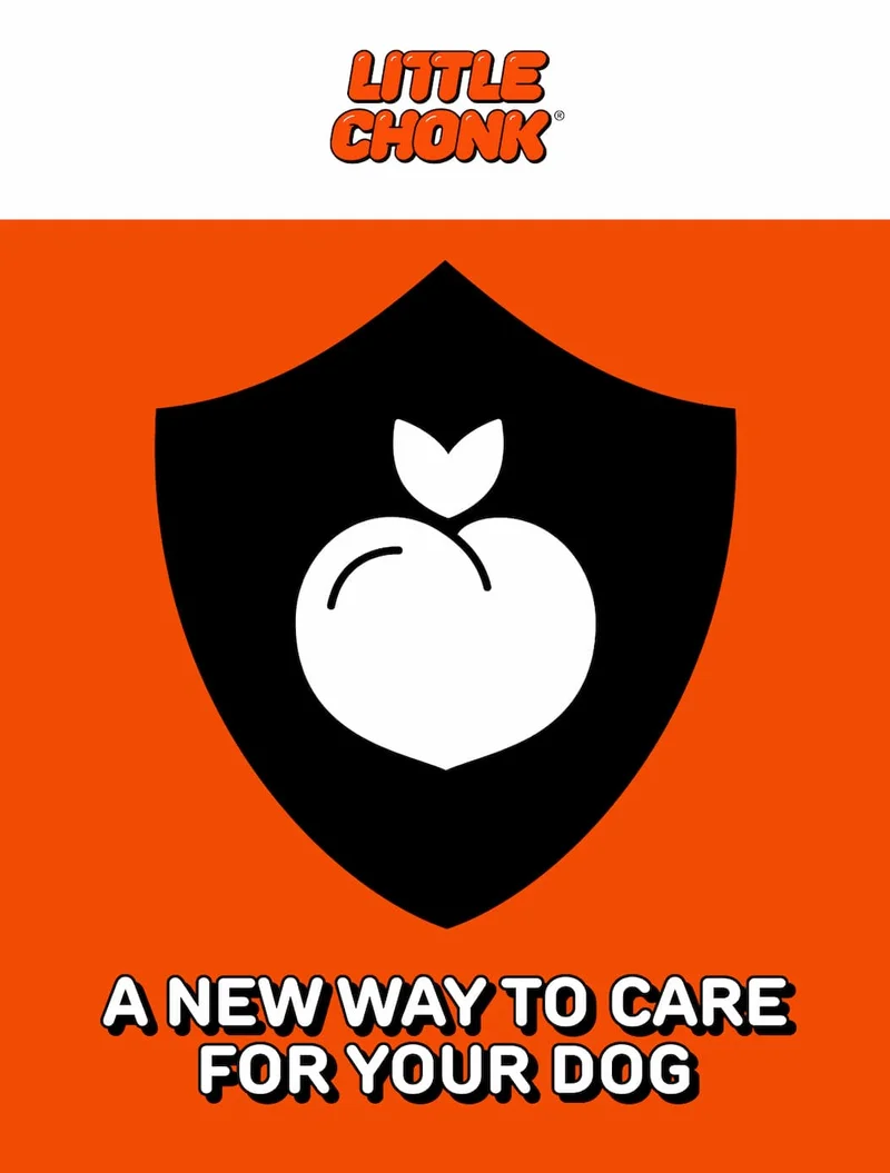 A NEW WAY TO CARE FOR YOUR DOG