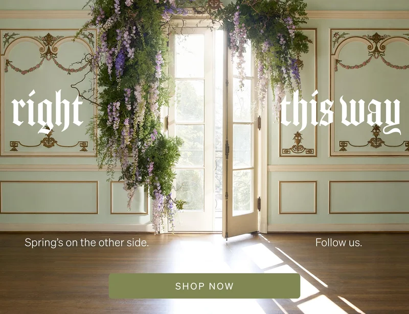 Shop the Collection