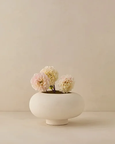 Shop Coperta Bowl