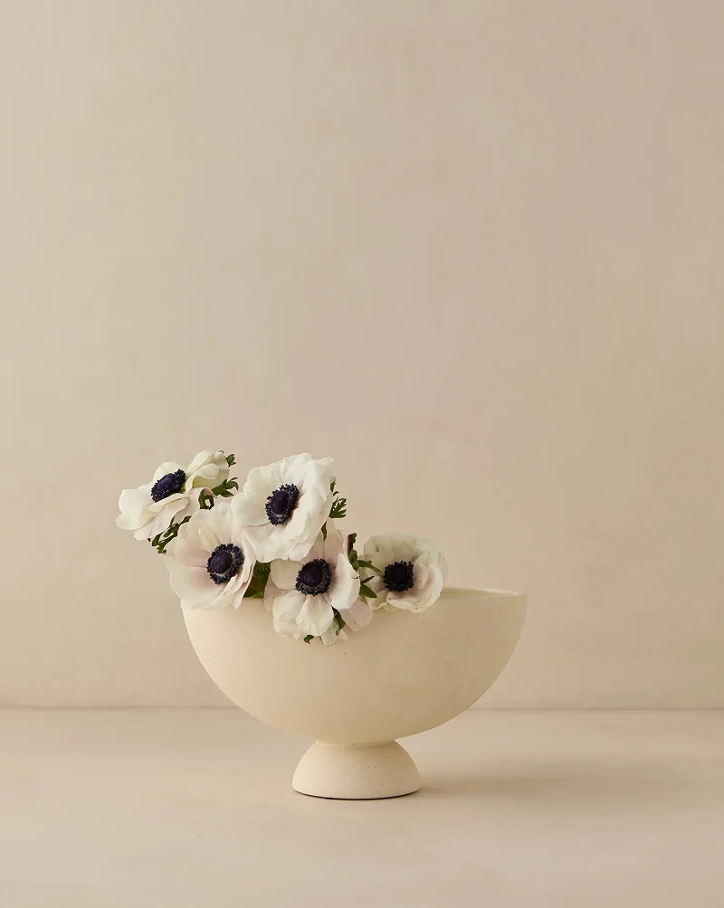 Shop Donato Bowl