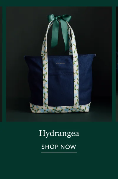 30% Off Hydrangea