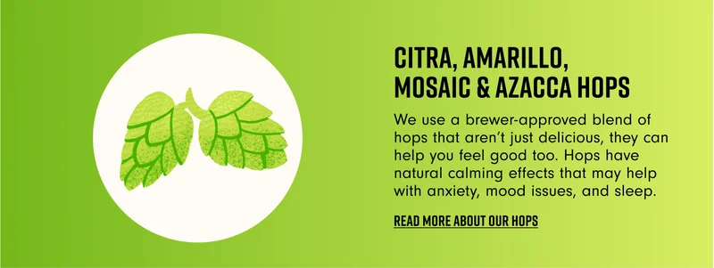 Read more about hops