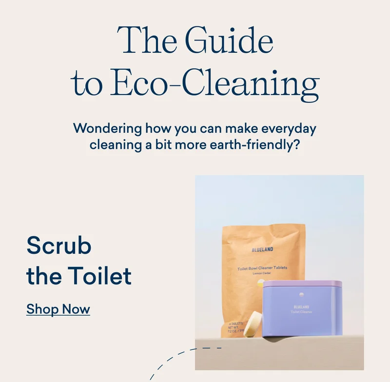 Scrub the Toilet