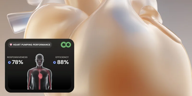 Body Scan 2
