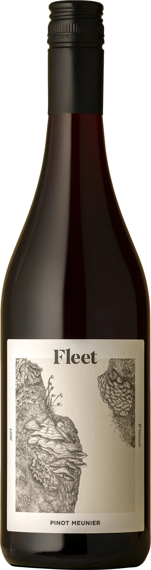 Image of Fleet <BR> Lichen Pinot Meunier 2025