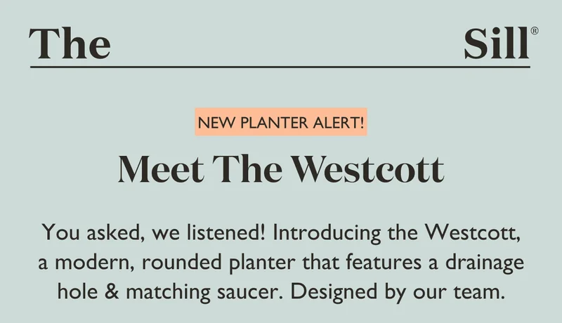 You asked, we listened! Introducing the Westcott.