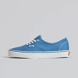Navy Blue Authentic Shoe