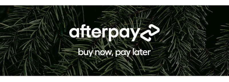 afterpay, buy now, pay later
