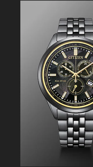 Classic LIGHT in BLACK  -  AT2576-68E