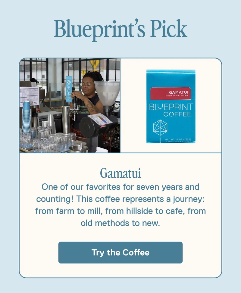 Blueprint's Pick