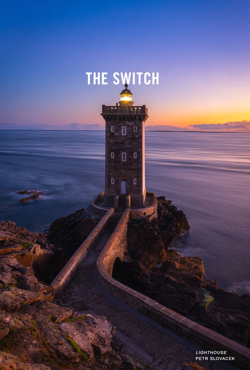 THE SWITCH