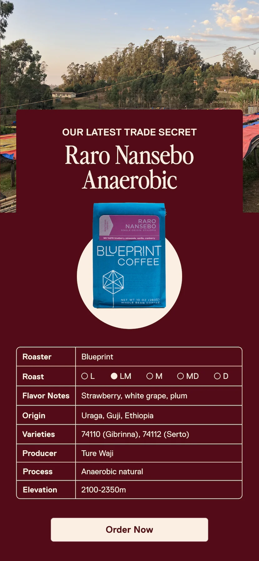 Limited Release: Raro Nansebo Anaerobic