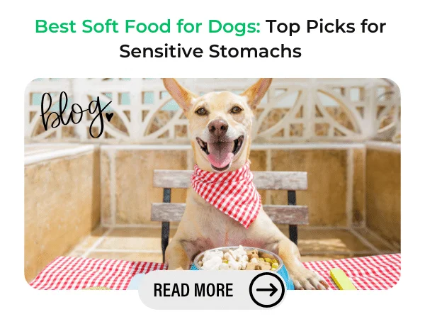 best soft dog food for sensitive stomachs