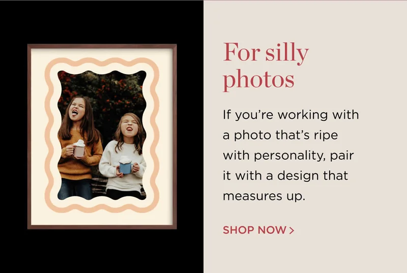 Shop Now(For Silly Photos)