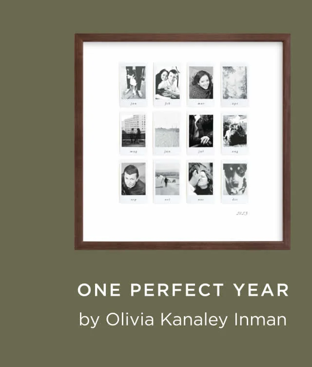 One Perfect Year