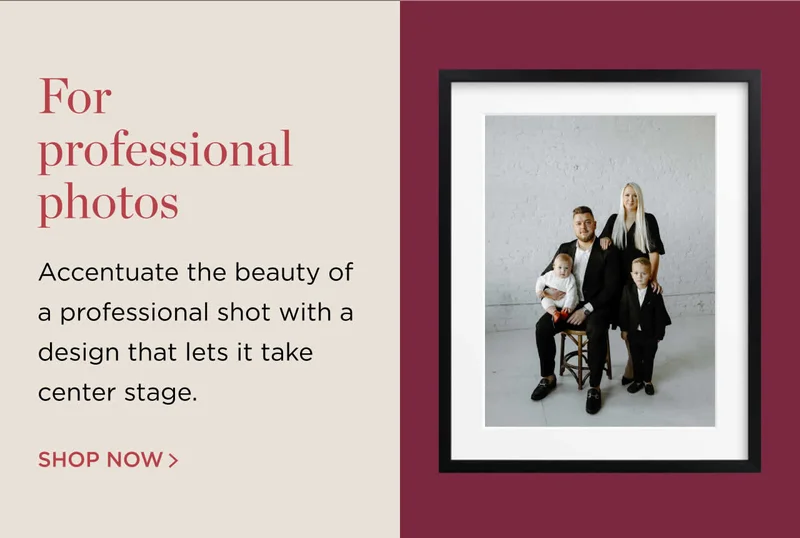 Shop Now(For Professional Photos)
