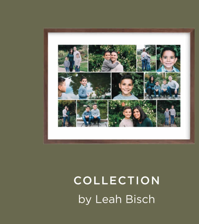 Collection