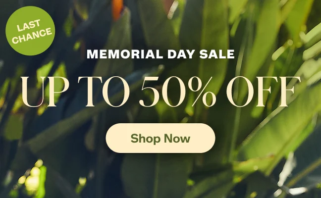 Shop Memorial Day Sale