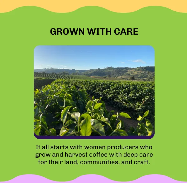 Grown with care! It all starts with women producers who grow and harvest coffee with deep care for their land, communities, and craft.