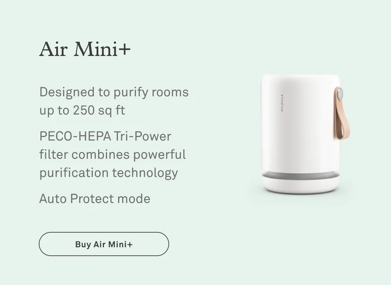 Air Mini+