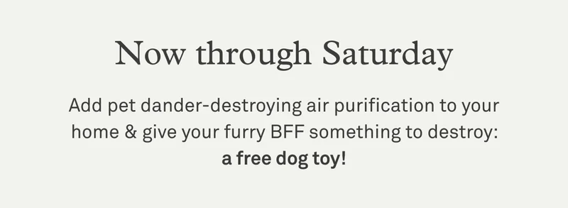 Now through Saturday, get 20% off purifiers + a free dog toy