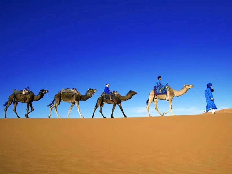 Tuareg man in a traditional blue robe with his children and camels in the Erg Chebbi area of the Sahara Desert, Morocco.