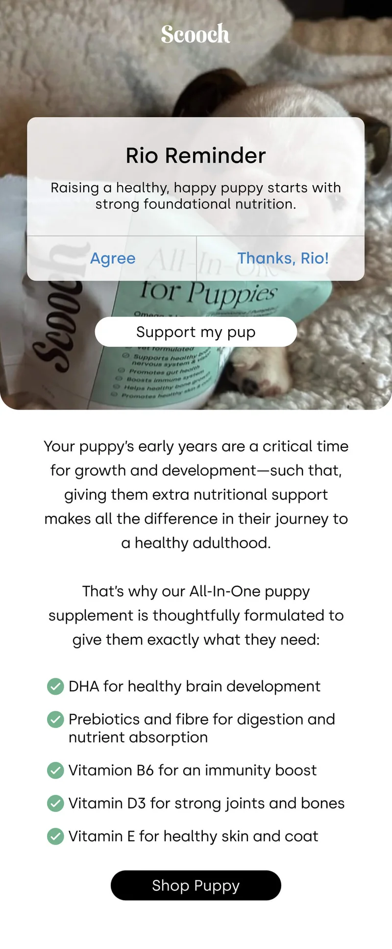 Rio Reminder  Raising a healthy, happy puppy starts with strong foundational nutrition.