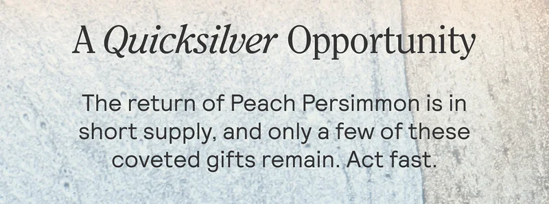 A Quicksilver Opportunity