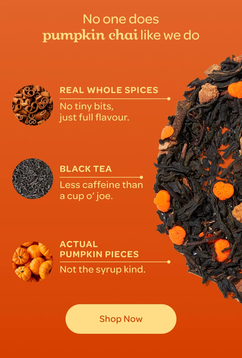 No one does pumpkin chai like we do